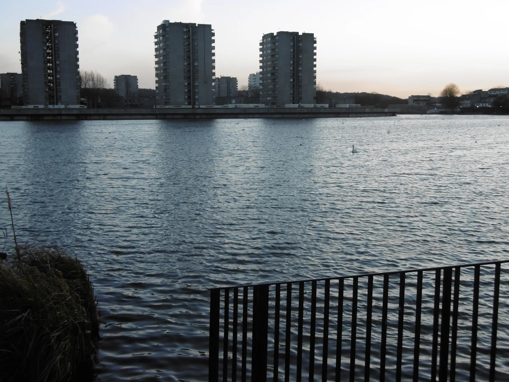 Southmere Lake and towers, Thamesmead